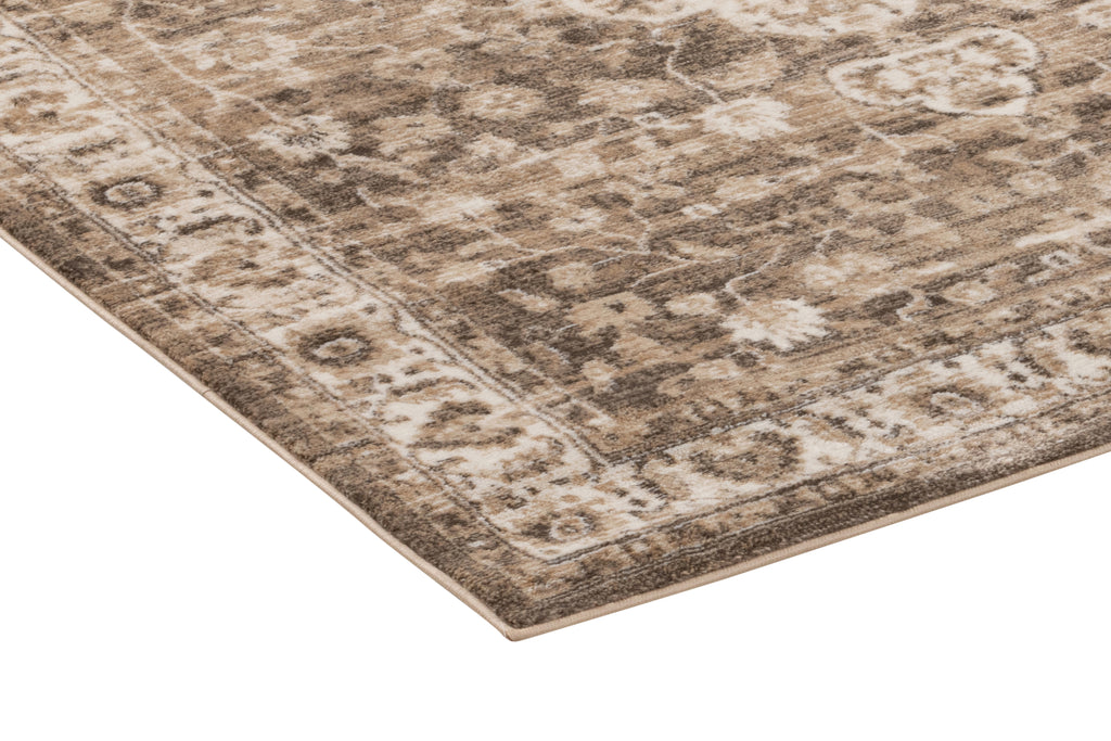 Firan Traditional Area Rug