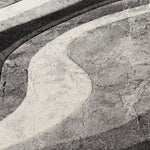 Louisa Carved Area Rug