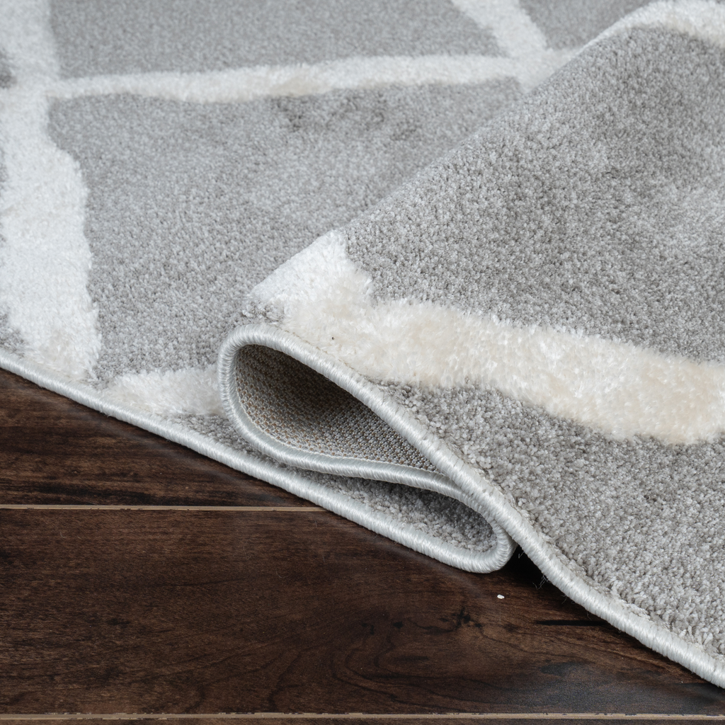 Pavia Geometric Area Rug