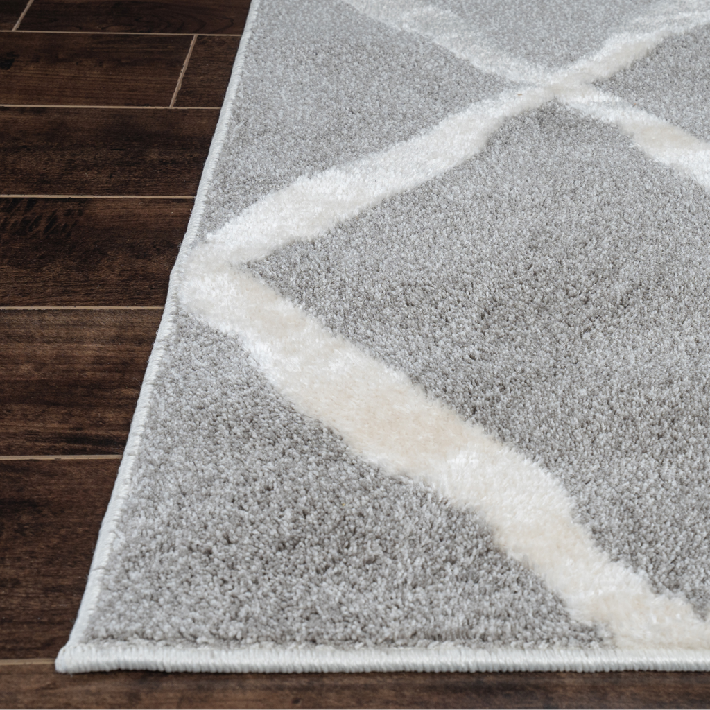 Pavia Geometric Area Rug