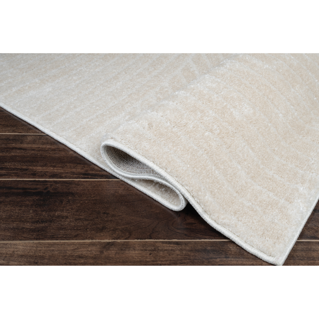 Springtown Modern Area Rug