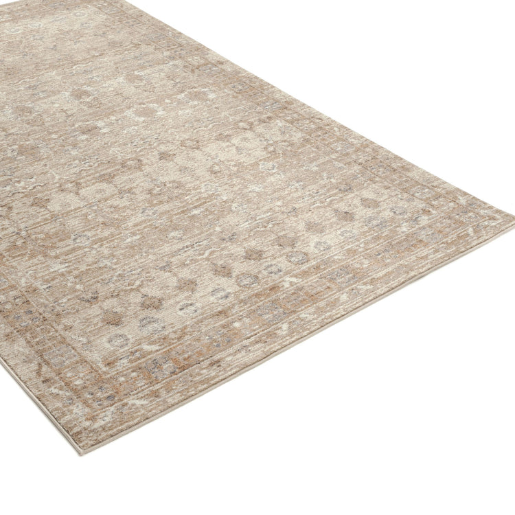 Ashgrove Traditional Area rug