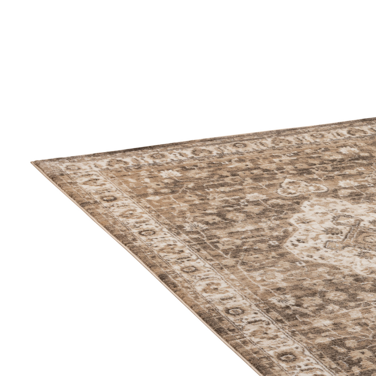 Firan Traditional Area Rug