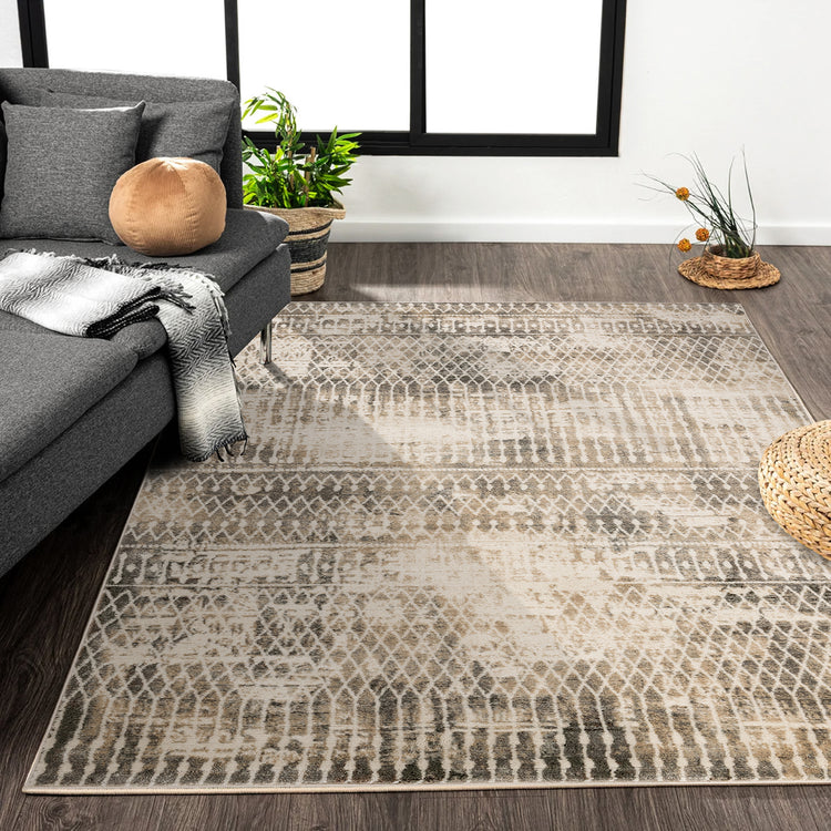 Temara Moroccan Area Rug