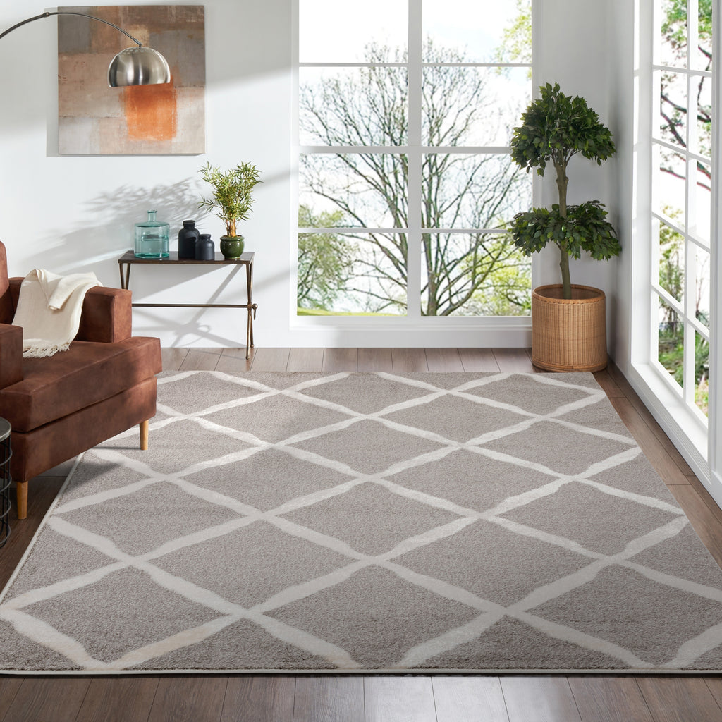 Pavia Geometric Area Rug